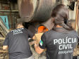 PCPR realiza segunda incineração de drogas apreendidas no Litoral durante o Verão Maior Paraná