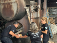 PCPR realiza segunda incineração de drogas apreendidas no Litoral durante o Verão Maior Paraná