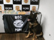 PCPR prende dois homens em flagrante por tráfico de drogas em São Mateus do Sul
