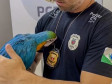 PCPR reforça importância do combate a maus-tratos aos animais