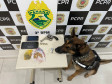 PCPR prende quatro pessoas em flagrante por tráfico de drogas em Chopinzinho