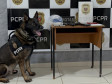 PCPR e PMPR prendem quatro pessoas durante operação contra tráfico de drogas em Engenheiro Beltrão