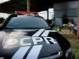 PCPR incinera 977 quilos de drogas em Palmeira