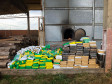 PCPR incinera 977 quilos de drogas em Palmeira