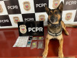 PCPR prende duas pessoas em flagrante por tráfico de drogas em Dois Vizinhos