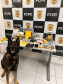 PCPR prende casal por tráfico, contrabando e posse de arma de fogo em Almirante Tamandaré 