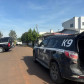 PCPR prende casal por tráfico, receptação e crime ambiental em Francisco Beltrão