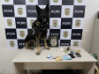 PCPR prende mulher em flagrante por tráfico de drogas em Ponta Grossa