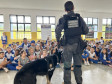 PCPR comemora 13 anos de atuação do Núcleo de Operações com Cães