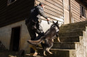 PCPR comemora 13 anos de atuação do Núcleo de Operações com Cães