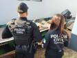 PCPR e PMPR prendem seis pessoas e apreendem 544 eletrônicos durante operação em Marechal Cândido Rondon