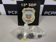 PCPR prende homem por tráfico de drogas em Ponta Grossa