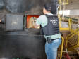 PCPR incinera mais de 300 quilos de drogas em Arapongas