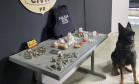 PCPR prende seis pessoas e 1,3 quilos de drogas durante operação em Nova Londrina