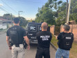 PCPR desmantela estufa para a produção de maconha em Piraquara 