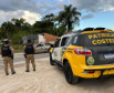 Forças de segurança fazem operação integrada contra crimes nas rodovias do Litoral