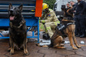 Cães da PCPR ajudaram na apreensão de 2,8 toneladas de drogas em 2024