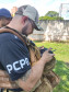 PCPR participa de curso de formação de pilotos de drones em Maringá