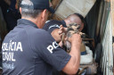 PCPR resgata cadela e filhotes presos em escombros em Guaratuba