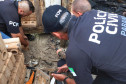 PCPR resgata cadela e filhotes presos em escombros em Guaratuba