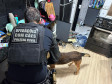 Cães da PCPR ajudaram na apreensão de 2,8 toneladas de drogas em 2024