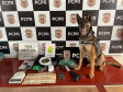 PCPR e PMPR prendem três pessoas durante operação no Sudoeste do Estado