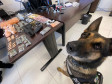 PCPR prende duas pessoas em flagrante e apreende drogas em Pinhais