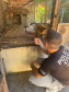 PCPR resgata macaco-prego que viveu 31 anos preso em uma gaiola em Colombo 