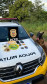 PCPR e PMPR prendem quatro pessoas por tráfico de drogas e associação para o tráfico em Tapira