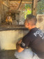 PCPR resgata macaco-prego que viveu 31 anos preso em uma gaiola em Colombo 