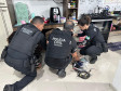 PCPR prende oito integrantes de grupo especializado em furtos e adulteração de veículos