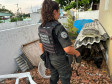 PCPR e PMPR prendem oito pessoas e apreendem drogas em operação contra organização criminosa envolvida no tráfico de drogas no Litoral