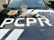 PCPR prende três pessoas em operação contra tráfico de drogas em Antonina e Curitiba