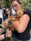 PCPR resgata mais de 130 animais vítimas de maus tratos e prende mulher em flagrante em Bocaiuva do Sul