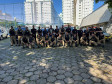 PCPR e PMPR deflagram operação em combate ao crime de homicídio no Litoral 