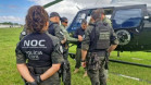 PCPR treina cães farejadores em aeronaves para operações emergência