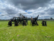 PCPR treina cães farejadores em aeronaves para operações emergência