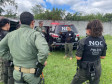 PCPR treina cães farejadores em aeronaves para operações emergência