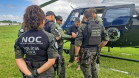 PCPR treina cães farejadores em aeronaves para operações emergência