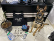 PCPR prende 12 pessoas durante operação em combate ao tráfico de drogas em Guarapuava 