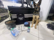 PCPR prende 12 pessoas durante operação em combate ao tráfico de drogas em Guarapuava 