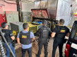 PCPR e Força Nacional incineram aproximadamente meia tonelada de entorpecentes em Cruzeiro do Oeste