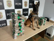 PCPR prende casal em flagrante e apreende 23 quilos de maconha em Céu Azul 