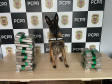 PCPR prende casal em flagrante e apreende 23 quilos de maconha em Céu Azul 