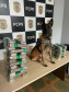 PCPR prende casal em flagrante e apreende 23 quilos de maconha em Céu Azul 