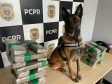 PCPR prende casal em flagrante e apreende 23 quilos de maconha em Céu Azul 
