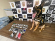 PCPR prende mãe e apreende filho em flagrante por tráfico de drogas em Francisco Beltrão 
