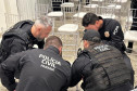 PCPR prende cinco pessoas em operação contra crimes violentos em Clevelândia