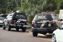 Foto: Natalia Bezerra/PCPR
