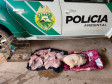 PCPR e PMPR prendem homem em flagrante pela caça de animais silvestres e porte de arma de fogo em Cianorte 